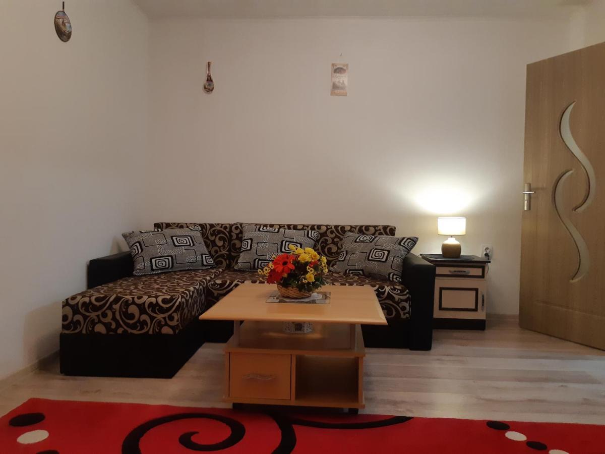 Florin Apartament Sighisoara Exterior photo
