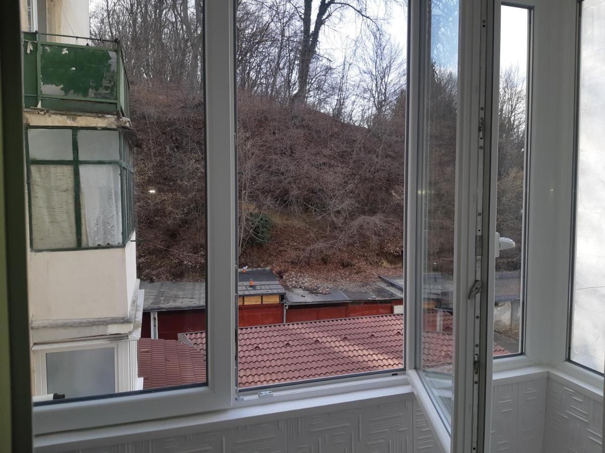 Florin Apartament Sighisoara Exterior photo