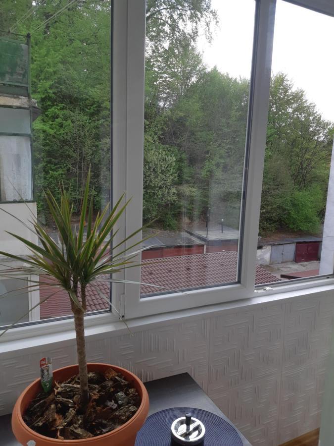 Florin Apartament Sighisoara Exterior photo